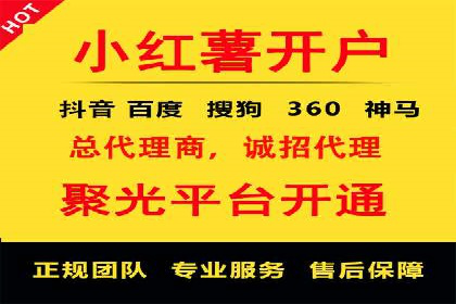 行业领先企业的SEM运营策略案例解析